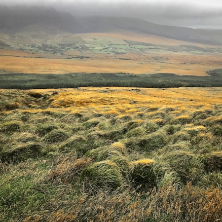Ireland grasslands autumn colors